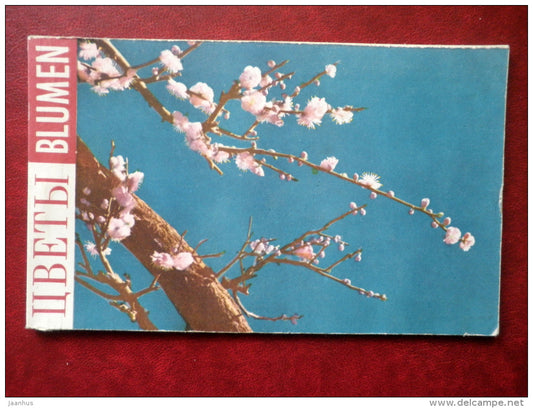 Flowers - set of 12 postcards - printed in People´s Republic of China - 1962 - China  - unused - JH Postcards