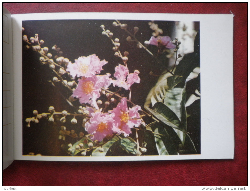 Flowers - set of 12 postcards - printed in People´s Republic of China - 1962 - China  - unused - JH Postcards