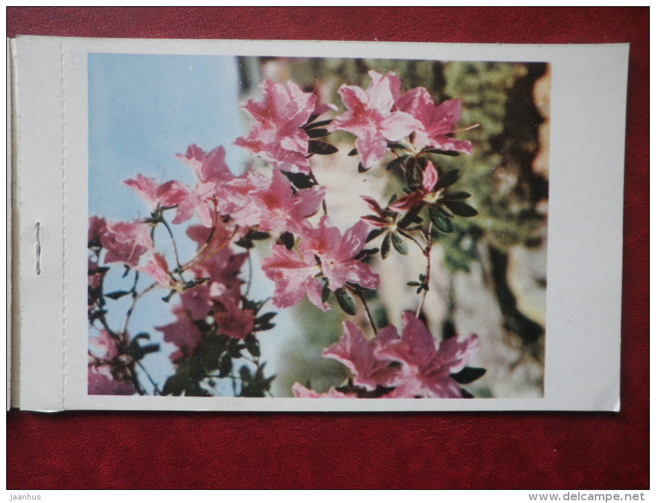 Flowers - set of 12 postcards - printed in People´s Republic of China - 1962 - China  - unused - JH Postcards