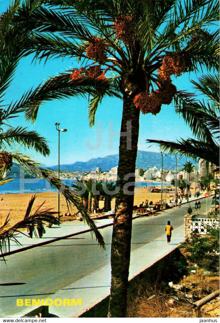 Benidorm - coast - 767 - Spain - used - JH Postcards