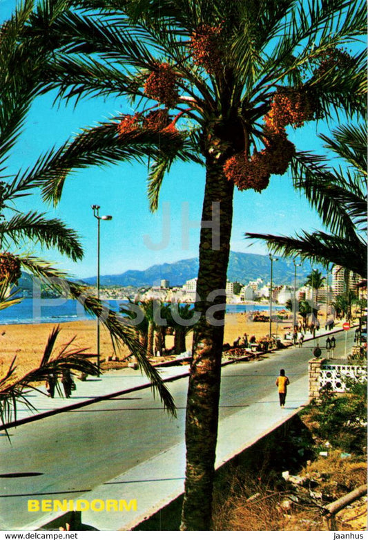 Benidorm - coast - 767 - Spain - used - JH Postcards