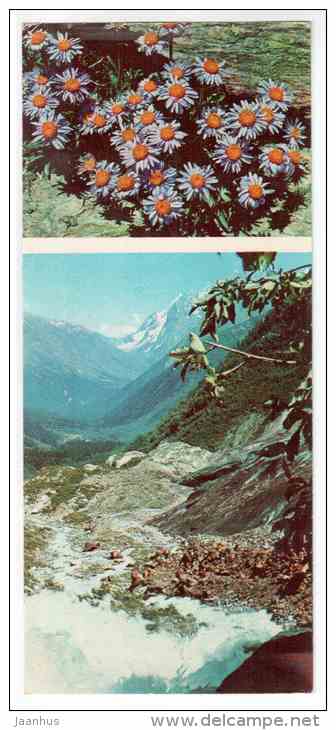 Gentiana - Mountain Flowers - 1973 - Russia USSR - unused - JH Postcards