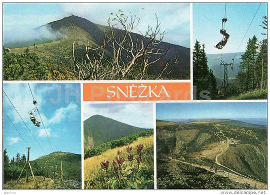 Krkonose - Snezka mountain - cable car - gentian virginal - plant - Czechoslovakia - Czech - unused - JH Postcards