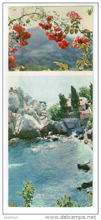 Roses - Mountain Flowers - 1973 - Russia USSR - unused - JH Postcards