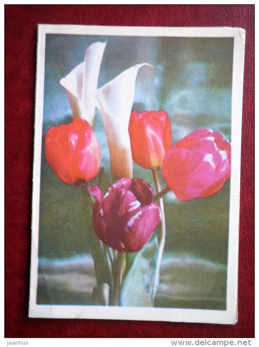 telegram - tulips - calla - flowers - 1973 - Russia USSR - used - JH Postcards