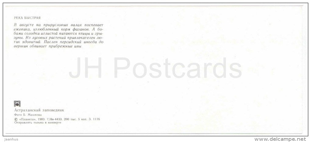 Pelican - birds - Astrakhan Nature Reserv - 1983 - Russia USSR - unused - JH Postcards