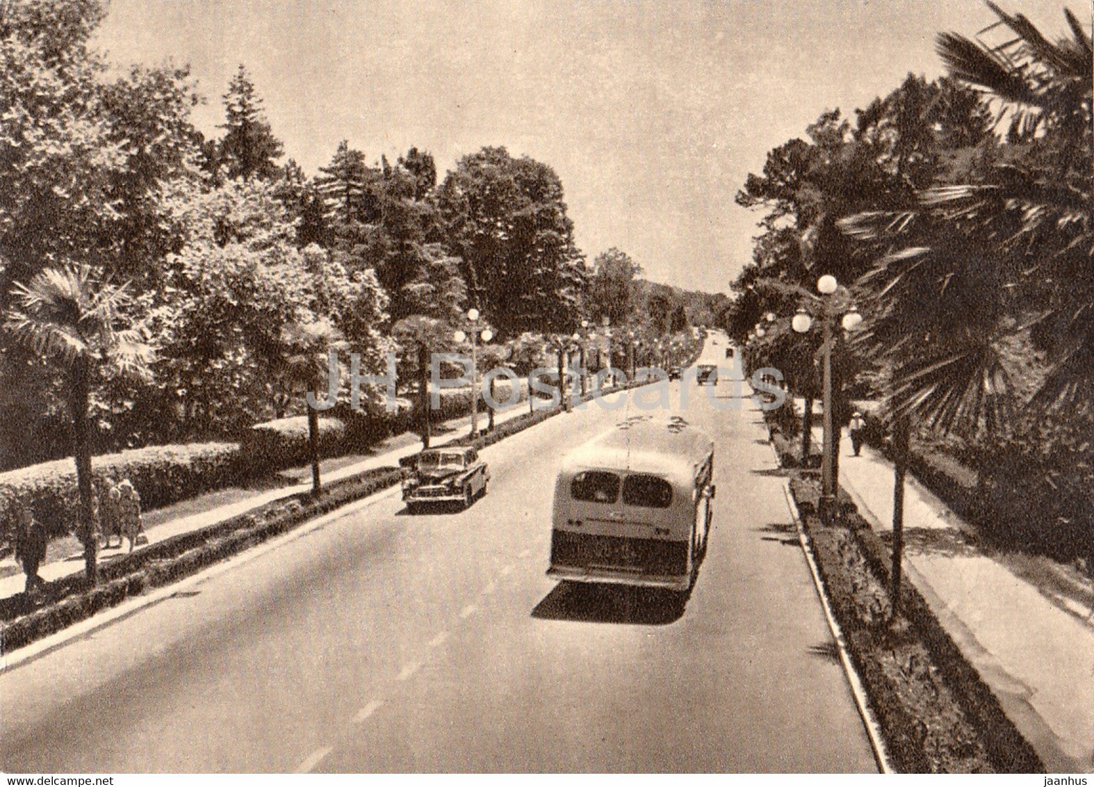 Sochi - resort avenue - prospekt - bus - 1958 - Russia USSR - unused - JH Postcards