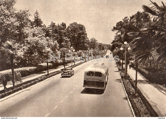 Sochi - resort avenue - prospekt - bus - 1958 - Russia USSR - unused - JH Postcards