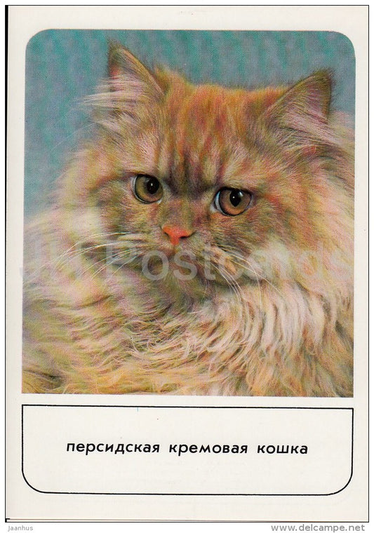 Persian Cream Cat - cats - Russia USSR - 1989 - unused - JH Postcards