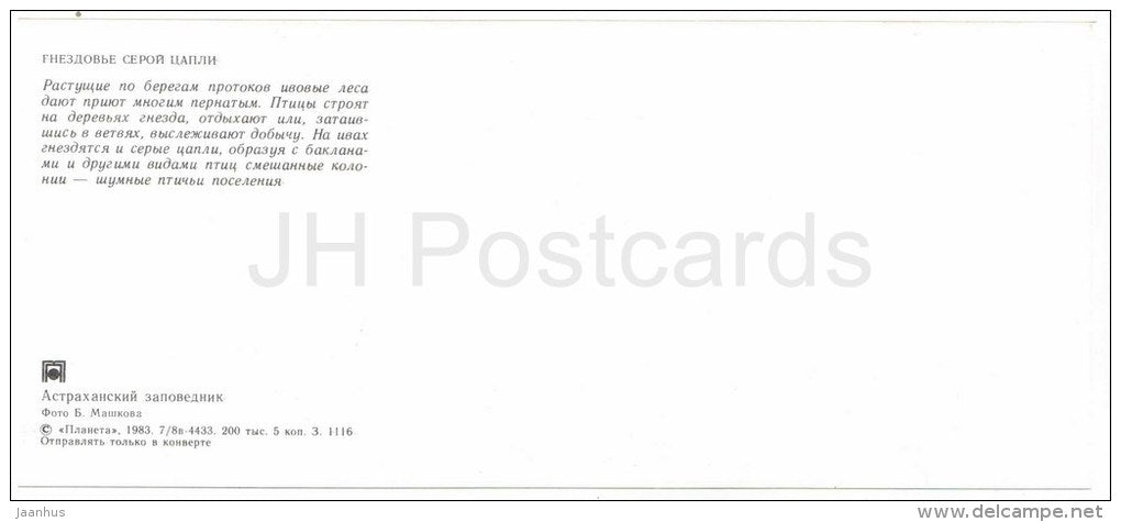 Grey heron , Ardea cinerea - birds - Astrakhan Nature Reserv - 1983 - Russia USSR - unused - JH Postcards