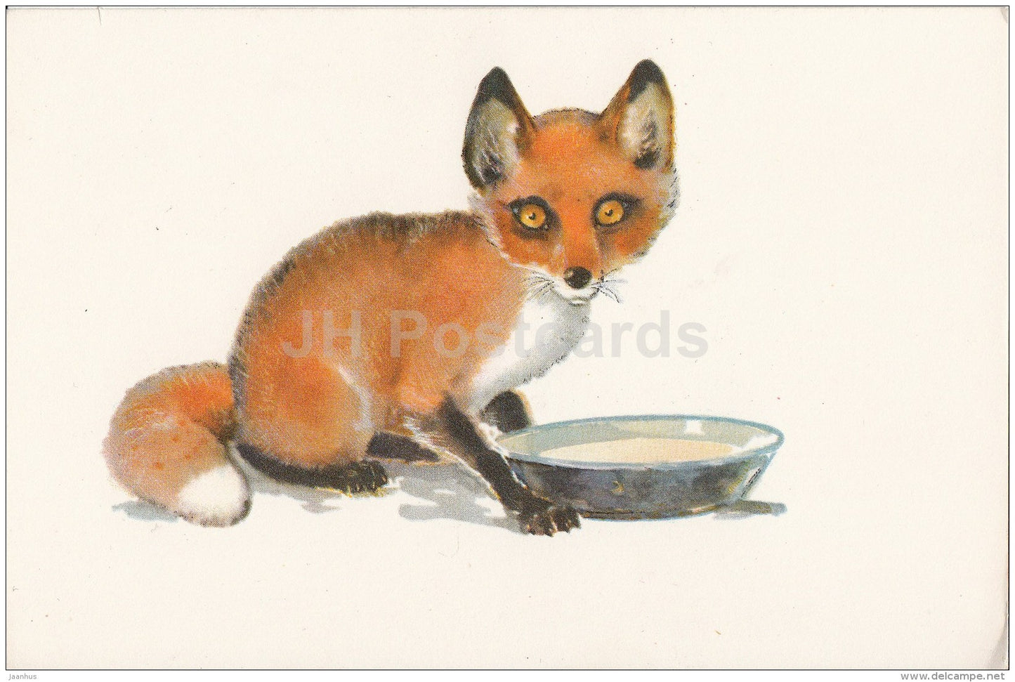 illustration by Hamburger - fox drinking milk - 1967 - Russia USSR - unused - JH Postcards