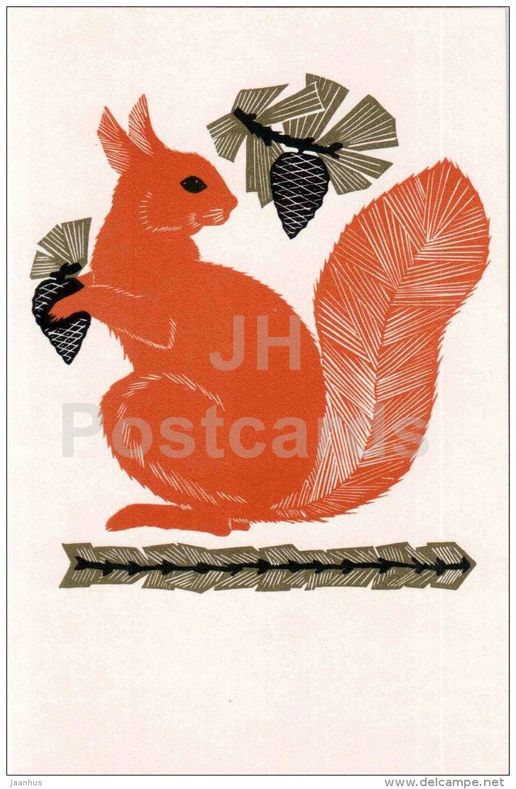 Squirrel - cones - illustration by V. Penzin - Decorative Birds and Animals - 1972 - Russia USSR - unused - JH Postcards