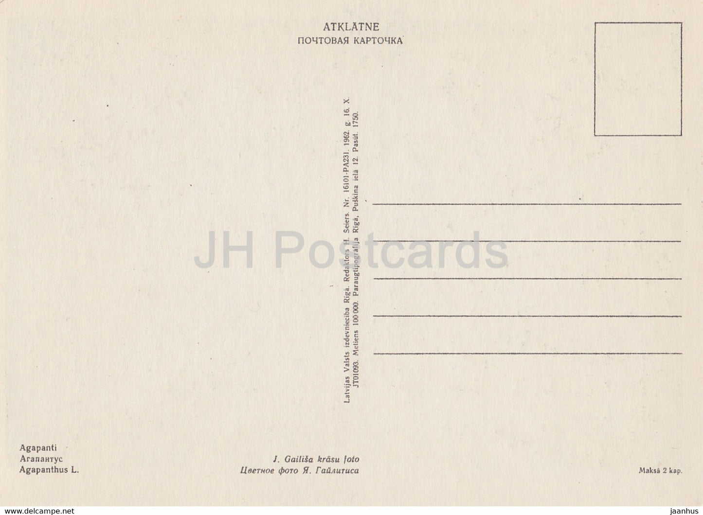 Muguet du Nil - Agapanthe - fleurs - plantes - 1962 - Lettonie URSS - inutilisé