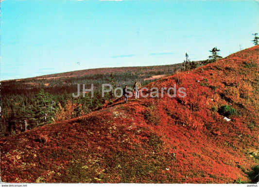 Salenfjallen - Dalarna - Sweden - used - JH Postcards