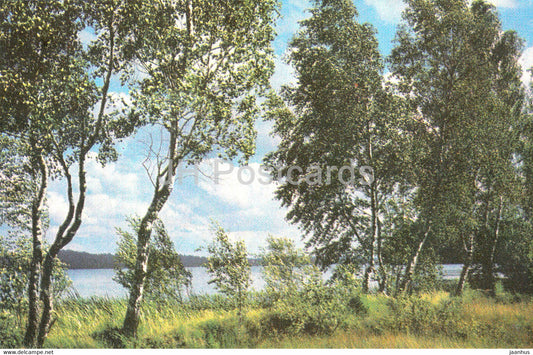 Latvian Nature - Lake Unguru - 1976 - Latvia USSR - unused - JH Postcards