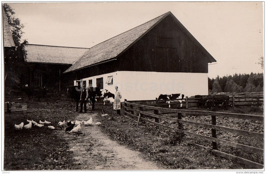 Swedish Farm - Cow - Chicken - Sweden - unused - JH Postcards