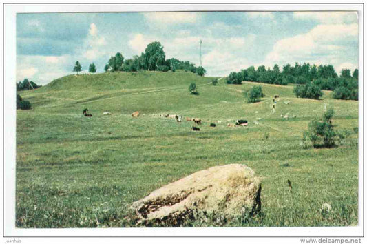 Berezovskoye settlement - Lake Seliger - 1968 - Russia USSR - unused - JH Postcards