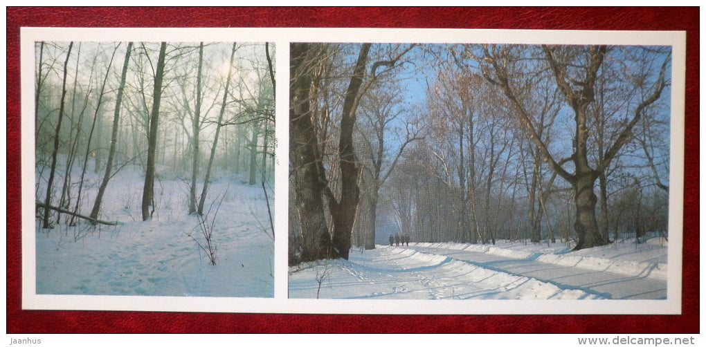 Ashen alley - winter road - Museum-Estate of Leo Tolstoy - 1976 - Russia USSR - unused - JH Postcards