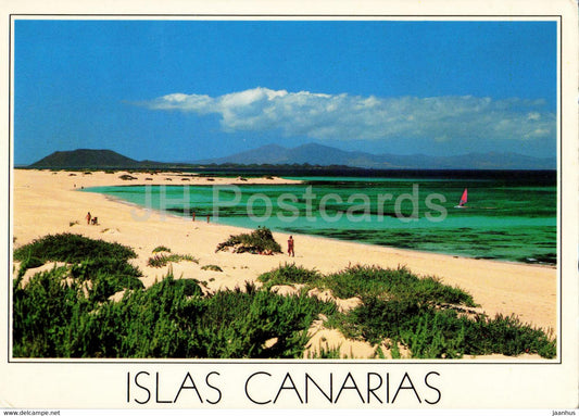 Islas Canarias - Corralejo - 19 - 1990 - Spain - used - JH Postcards