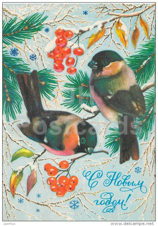 New Year greeting card by R. Dostyan - bullfinch - 1 - rowan - postal stationery - AVIA - 1981 - Russia USSR - used - JH Postcards