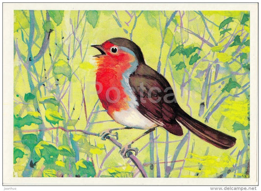 European robin - Erithacus rubecula - Birds of Russian Forest - 1979 - Russia USSR - unused - JH Postcards