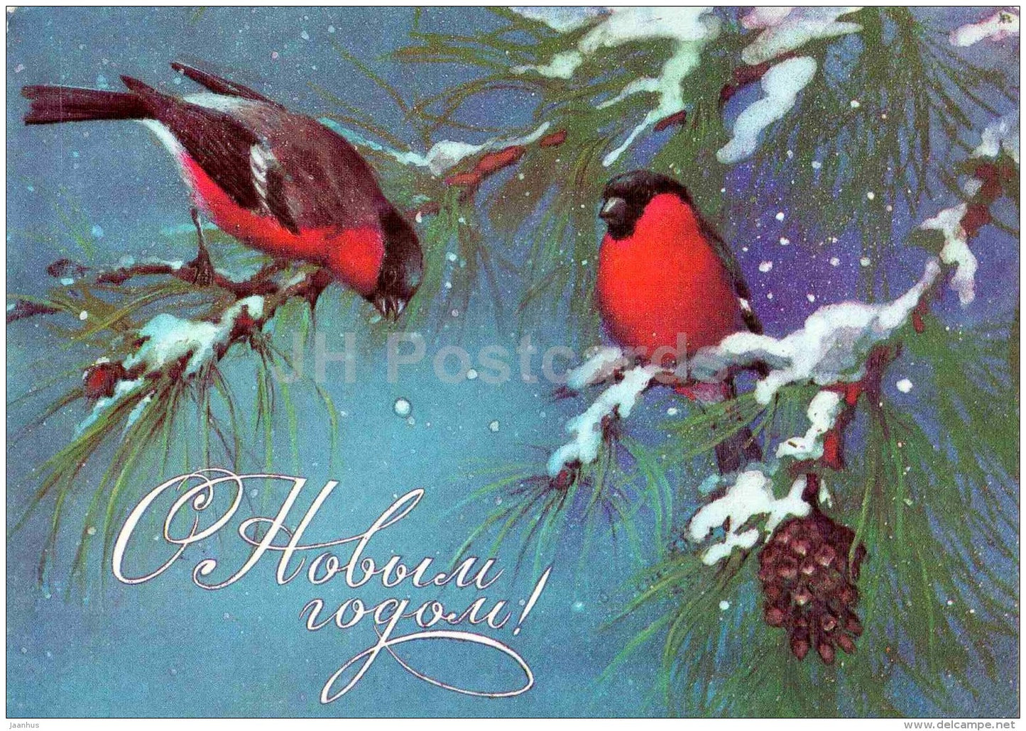 New Year greeting card by A. Isakov - bullfinch - birds - winter - postal stationery - 1985 - Russia USSR - unused - JH Postcards