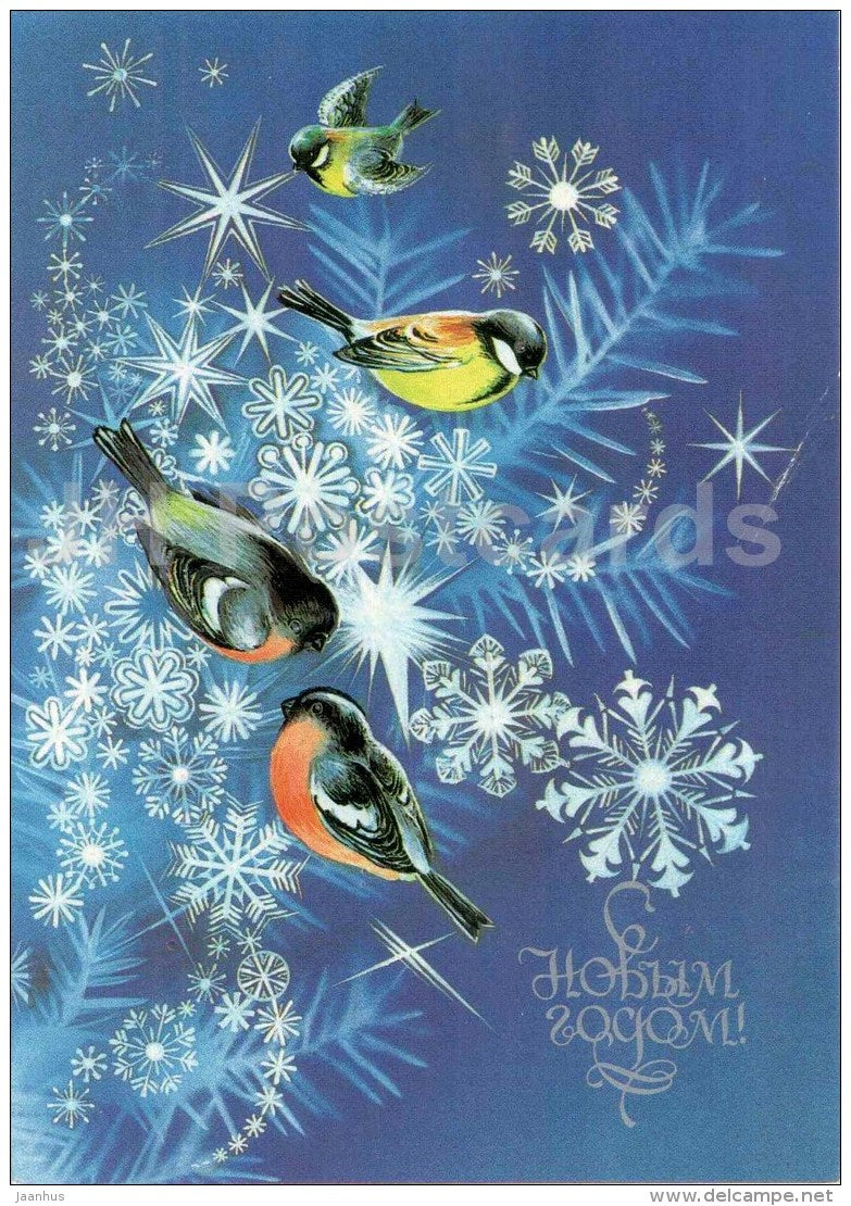 New Year greeting card by N. Korobova - bullfinch - tit - birds - postal stationery - 1984 - Russia USSR - unused - JH Postcards