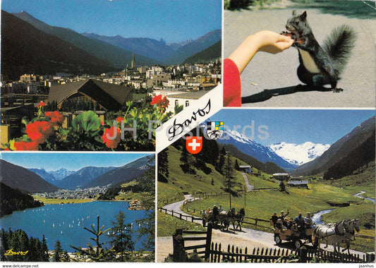 Davos 1560 m - Tinzenhorn - Davosersee - Dischma - squirrel - horse carriage - multiview - 1987 - Switzerland - used - JH Postcards