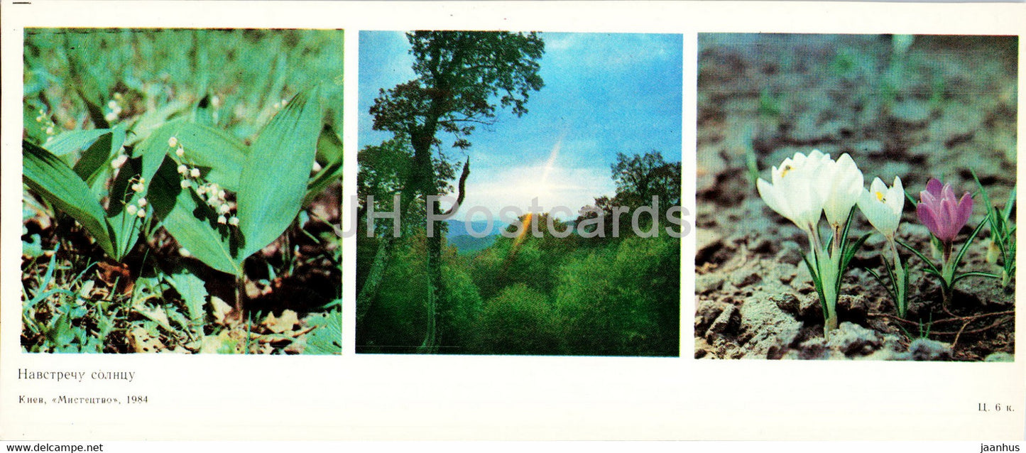 crocus - lily of valley - flowers - protected places of Crimea - 1984 - Ukraine USSR - unused - JH Postcards