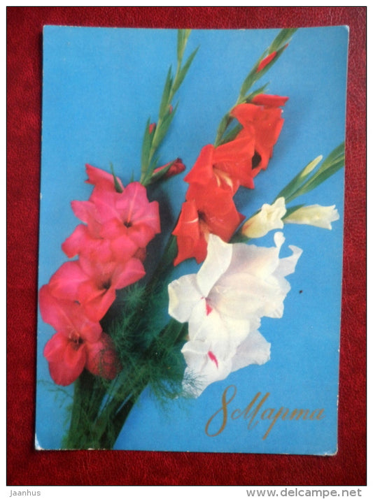 8 March Greeting Card - white and red gladiolus - flowers - 1973 - Russia USSR - used - JH Postcards