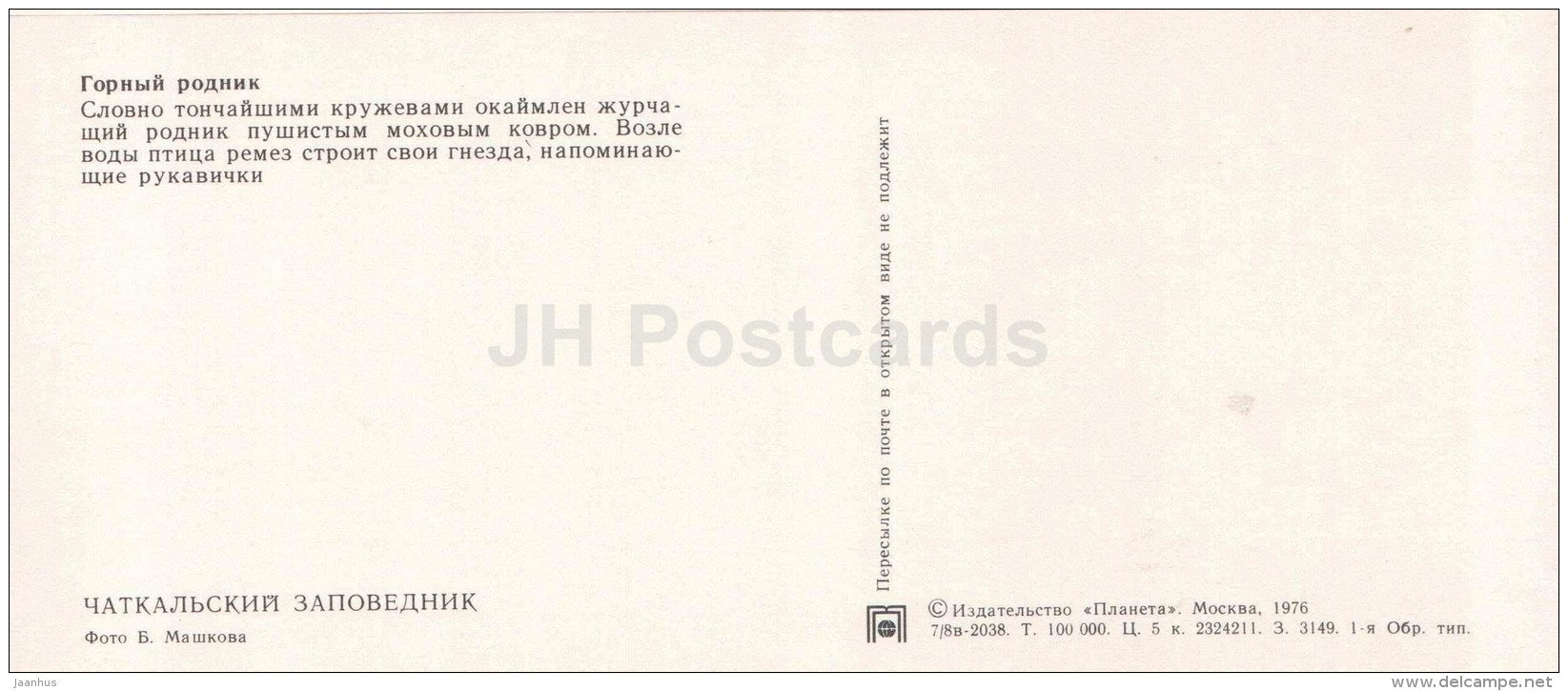 mountain spring - Eurasian penduline tit´s nest - bird - Chatkalsky National Park - 1976 - Uzbekistan USSR - unuse - JH Postcards