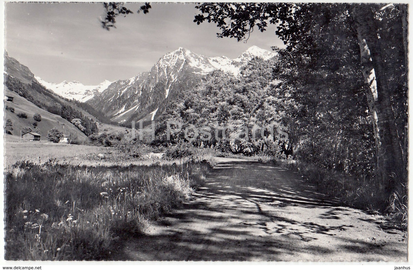 Klosters (Graubunden) 1250 m - Diethelmpromenade mit Silvrettagruppe - 58 - Switzerland - old postcards - unused - JH Postcards