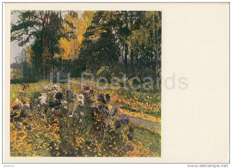 painting by S. Zhukovsky - The Last Asters - flowers - Russian art - 1969 - Russia USSR - unused - JH Postcards