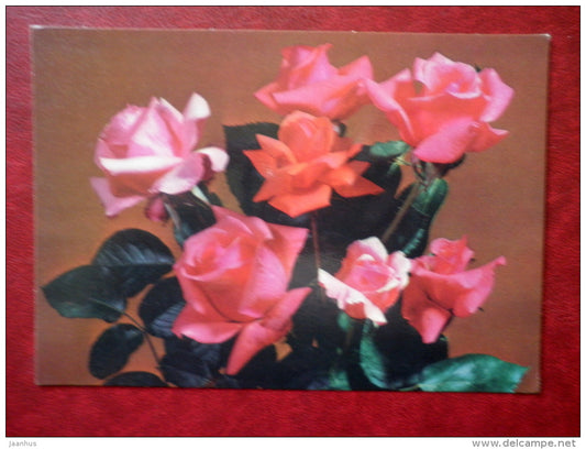 Birthday Greeting Card - red roses - flowers - 1985 - Russia USSR - used - JH Postcards