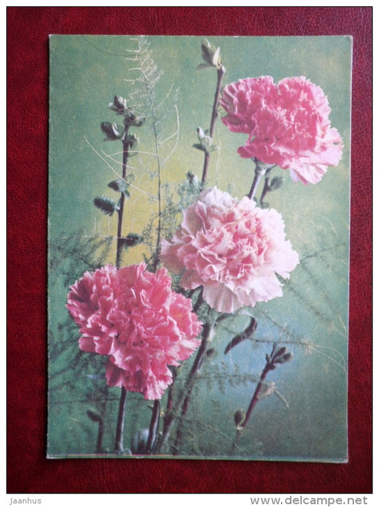 telegram - c pink arnation  - flowers - 1981 - Russia USSR - used - JH Postcards