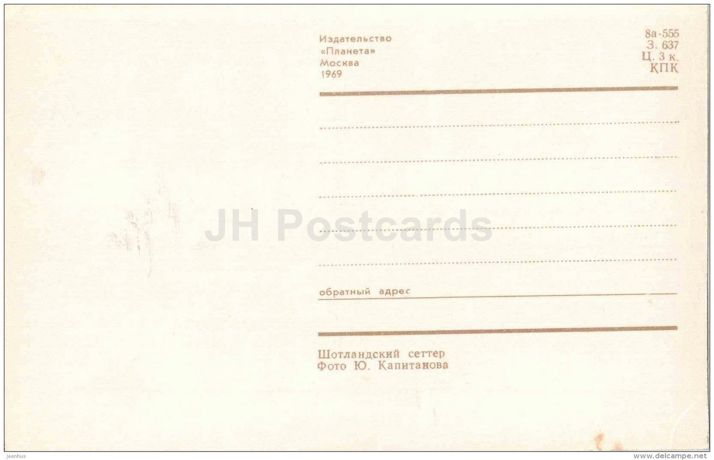 Gordon Setter - dog - 1969 - Russia USSR - unused - JH Postcards