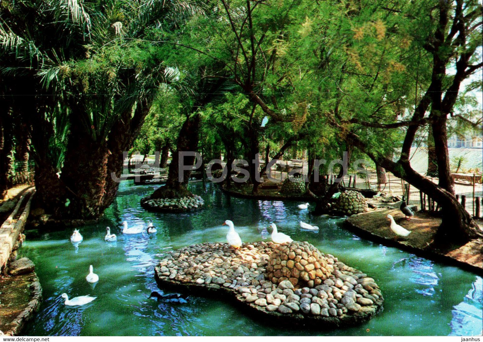 Elche - Parque Municipal - Estanque de Patos - park - pool - 130 - Spain - unused - JH Postcards