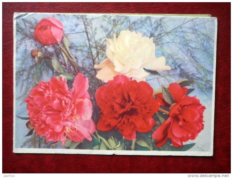 telegram - peonies - flowers - 1967 - Russia USSR - used - JH Postcards