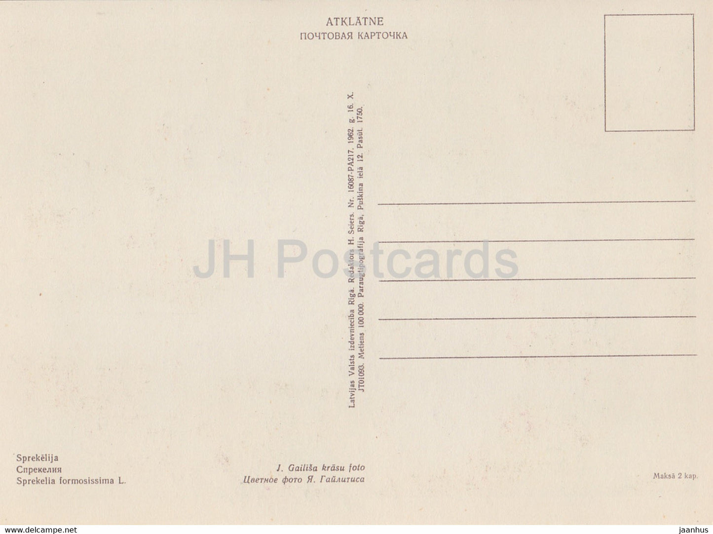 Sprekelia - Sprekelia formosissima - fleurs - plantes - 1962 - Lettonie URSS - inutilisé