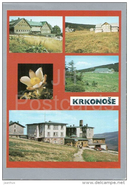 Krkonoše - Medvedi shed - Czechoslovakia - Czech - unused - JH Postcards