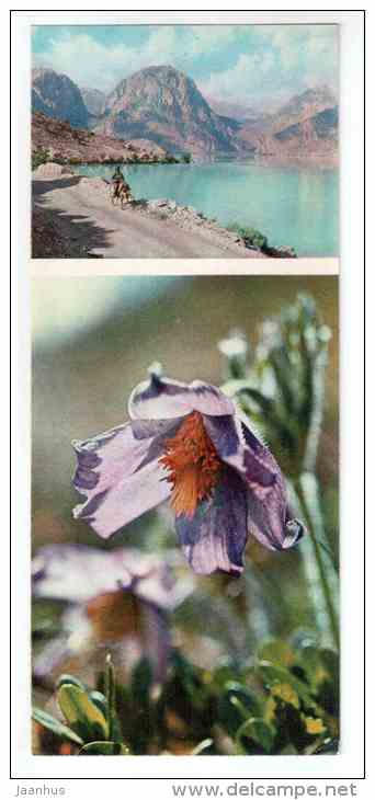 Pulsatilla - Mountain Flowers - 1973 - Russia USSR - unused - JH Postcards