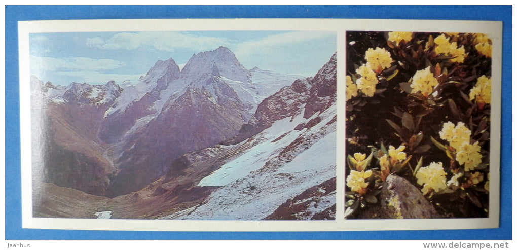 Bulgen massif - rhododendron - flowers - Caucasus - Mountaneering - alpinism - 1980 - Russia USSR - unused - JH Postcards