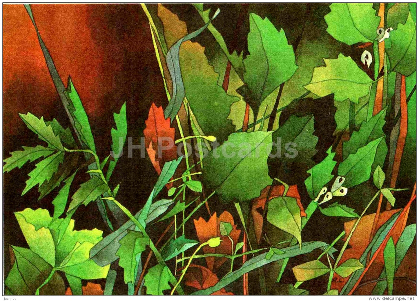 illustration by R. Lukk - 1 - plants - 1985 - Estonia USSR - unused - JH Postcards