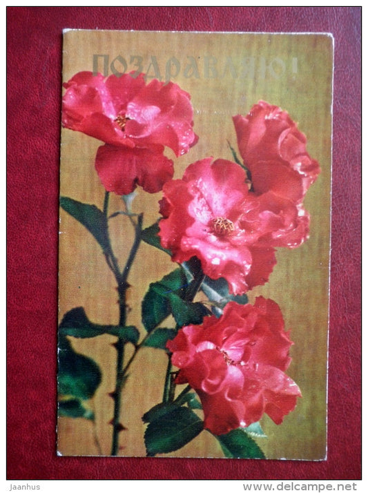 Greeting Card - red flowers - flowers - 1975 - Russia USSR - used - JH Postcards