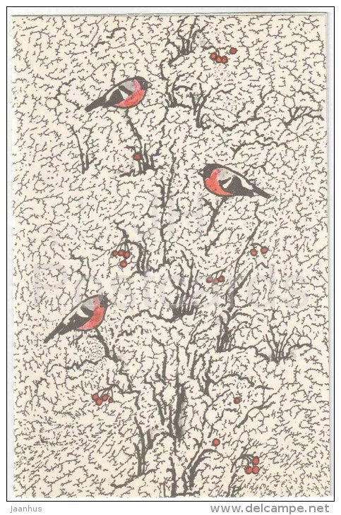 New Year Greeting card by M. Helm - birds - bullfinch - 1987 - Estonia USSR - used - JH Postcards