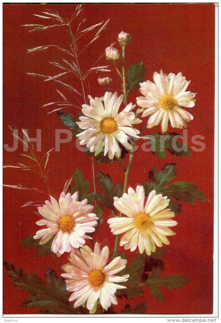 flowers - 1 - postal stationery - 1989 - Russia USSR - unused - JH Postcards