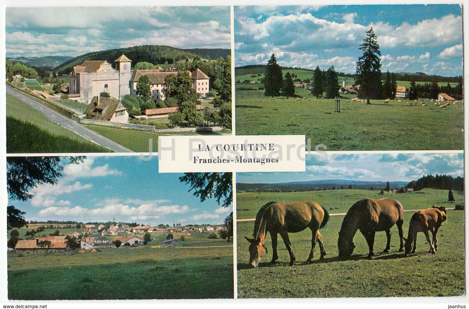 La Courtine - Franches-Montagnes - horse - Switzerland - unused - JH Postcards