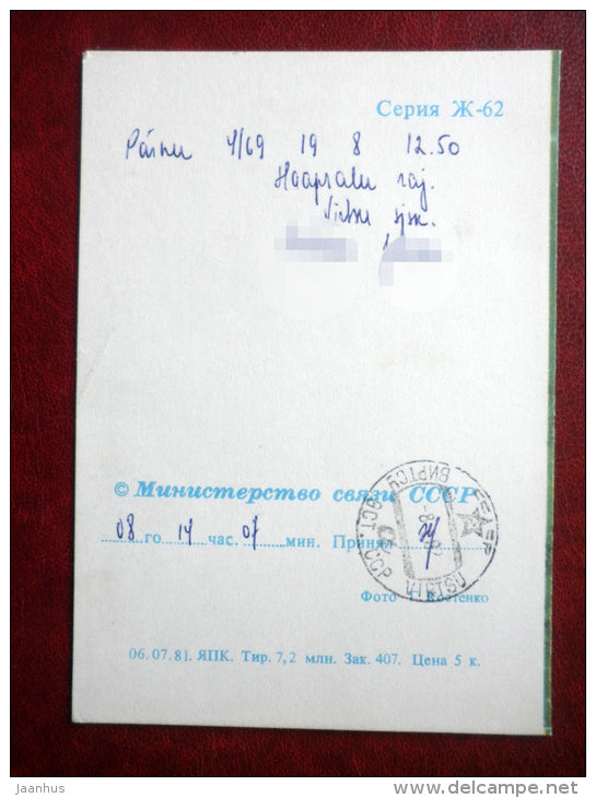 telegram - pink carnation  - flowers 1 - 1981 - Russia USSR - used - JH Postcards