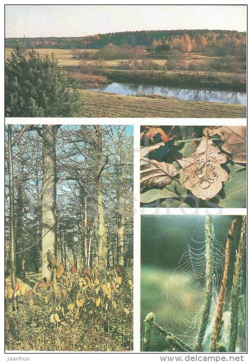 Autumn - landscape - river - cobweb - Seasons - 1984 - Russia USSR - unused - JH Postcards