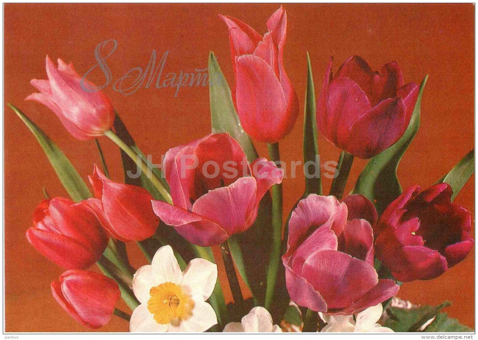 8 March International Women's Day greeting card - narcissus - tulips - postal stationery - 1984 - Russia USSR - unused - JH Postcards